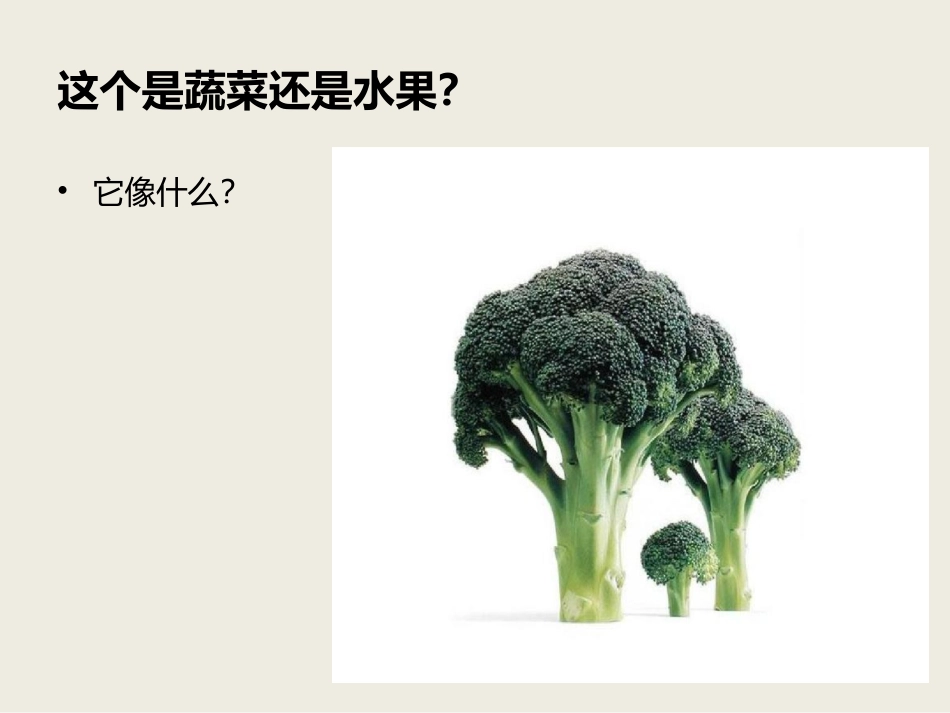 人教版2年级美术下册-《蔬果变变变》课件4.ppt_第3页