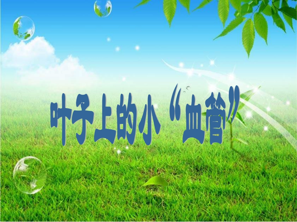 人教版2年级美术下册-《叶子上的小“血管”》课件1.ppt_第1页