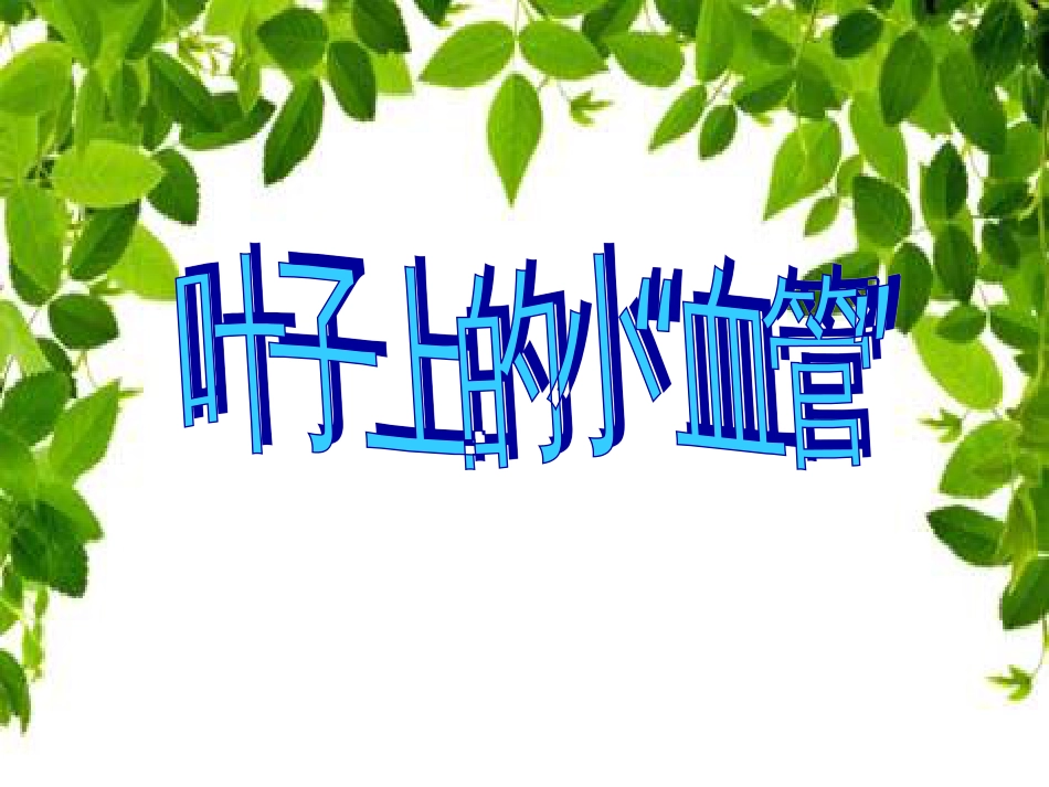 人教版2年级美术下册-《叶子上的小“血管”》课件3.ppt_第1页