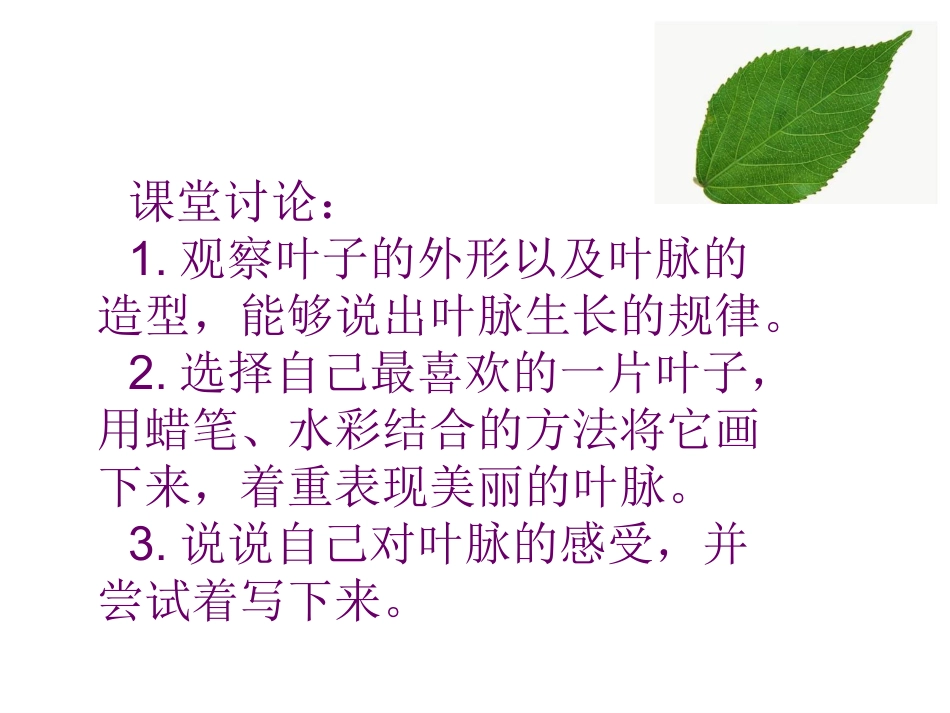 人教版2年级美术下册-《叶子上的小“血管”》课件3.ppt_第2页
