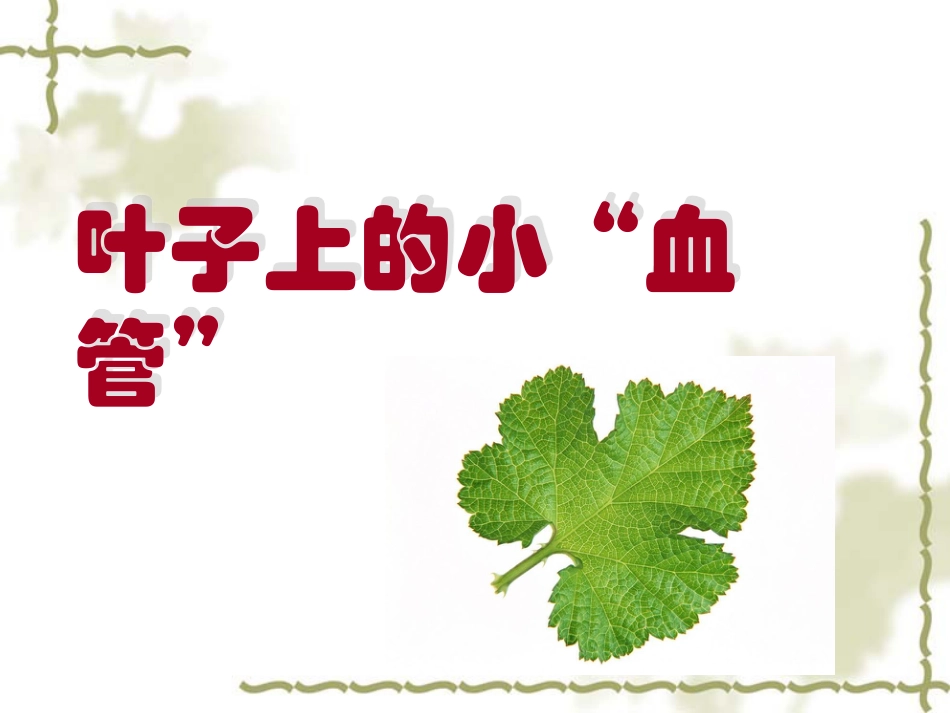 人教版2年级美术下册-《叶子上的小“血管”》课件4.ppt_第1页