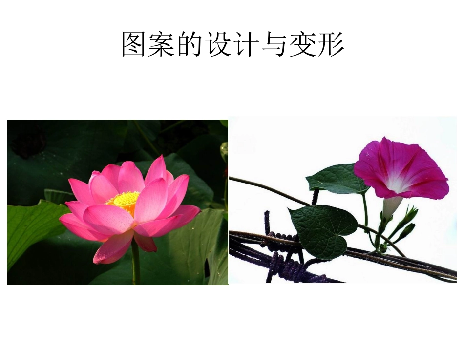 人教版3年级美术上册-《美丽的花》课件.ppt_第3页