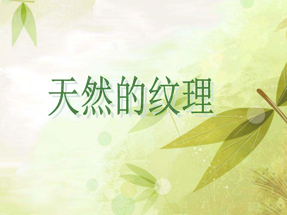 人教版3年级美术上册-《天然的纹理》课件.ppt_第1页