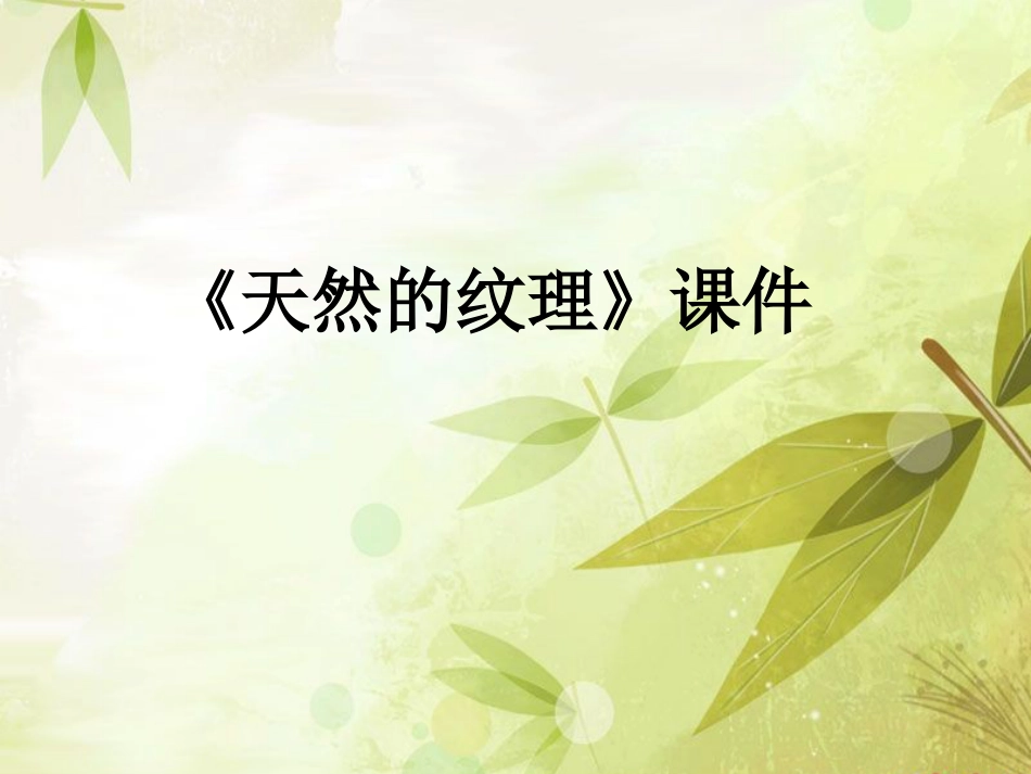人教版3年级美术上册-《天然的纹理》课件2.ppt_第1页