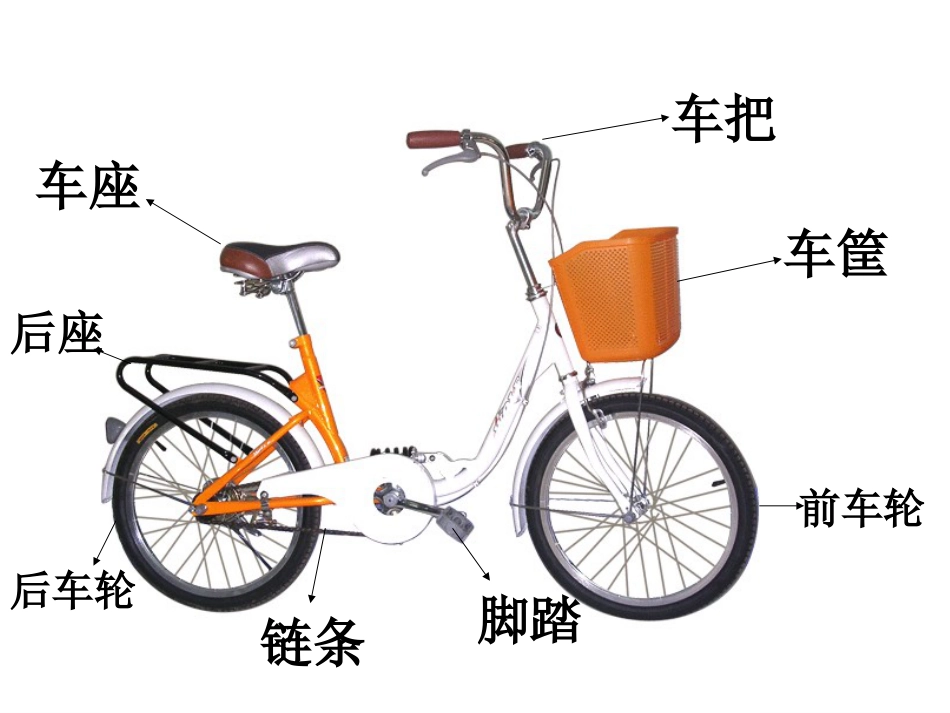 人教版3年级美术上册-《我设计的自行车》课件.ppt_第3页