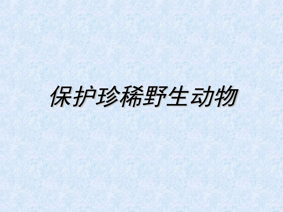 人教版3年级美术下册-《保护珍稀野生动物》课件.ppt_第1页