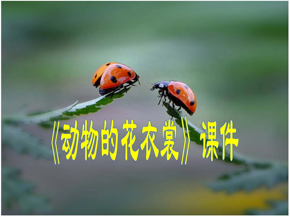人教版3年级美术下册-《动物的花衣裳》课件1.ppt_第1页