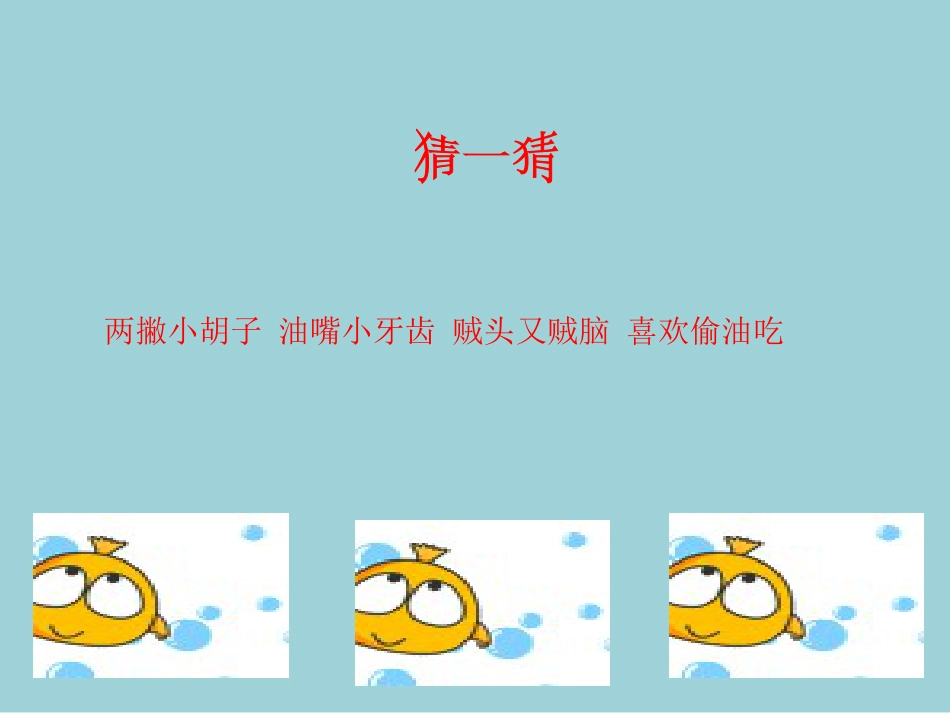 人教版小学美术4年级下册-《藏书票》课件1.ppt_第2页