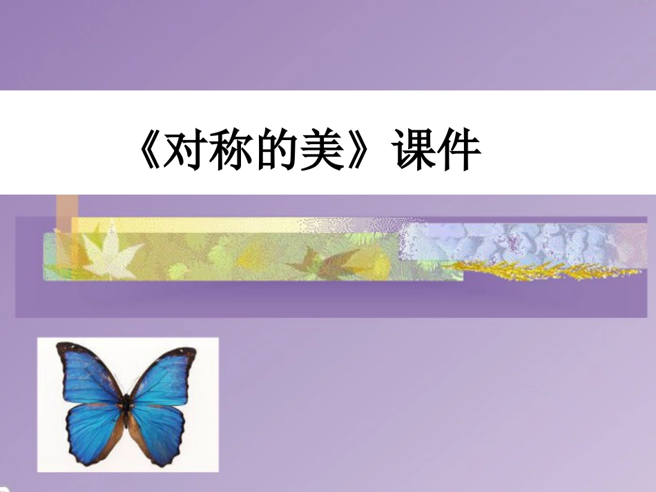 人教版小学美术4年级下册-《对称的美》课件3.ppt_第1页