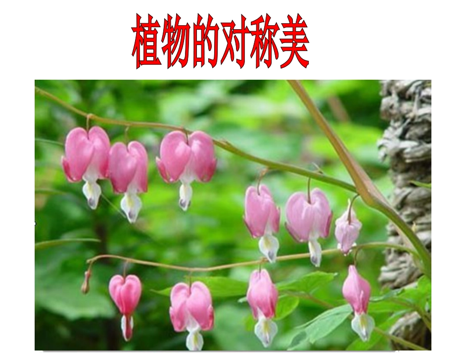人教版小学美术4年级下册-《对称的美》课件3.ppt_第2页