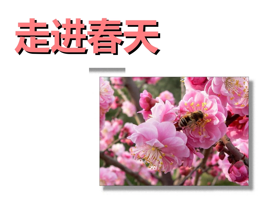 人教版小学美术4年级下册-《走进春天》课件.ppt_第1页