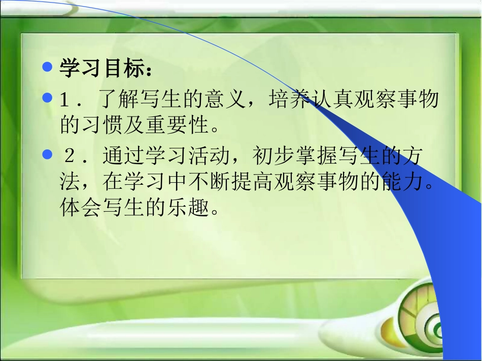 人教版5年级美术下册-《静物写生》课件.ppt_第2页
