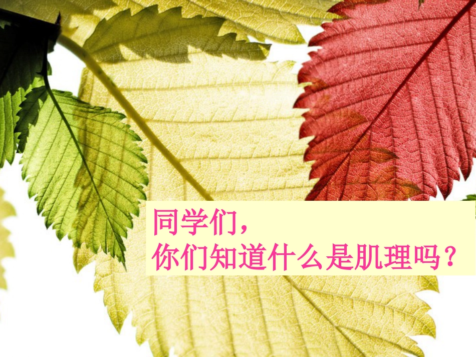 人教版5年级美术下册-《神奇的肥皂粉》课件02.ppt_第2页
