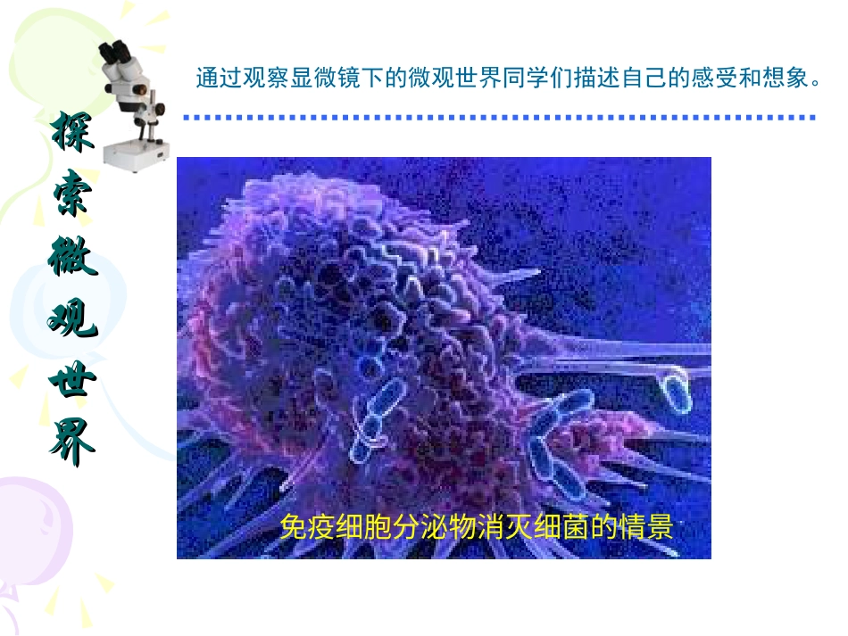人教版5年级美术下册-《微观世界》课件.ppt_第3页
