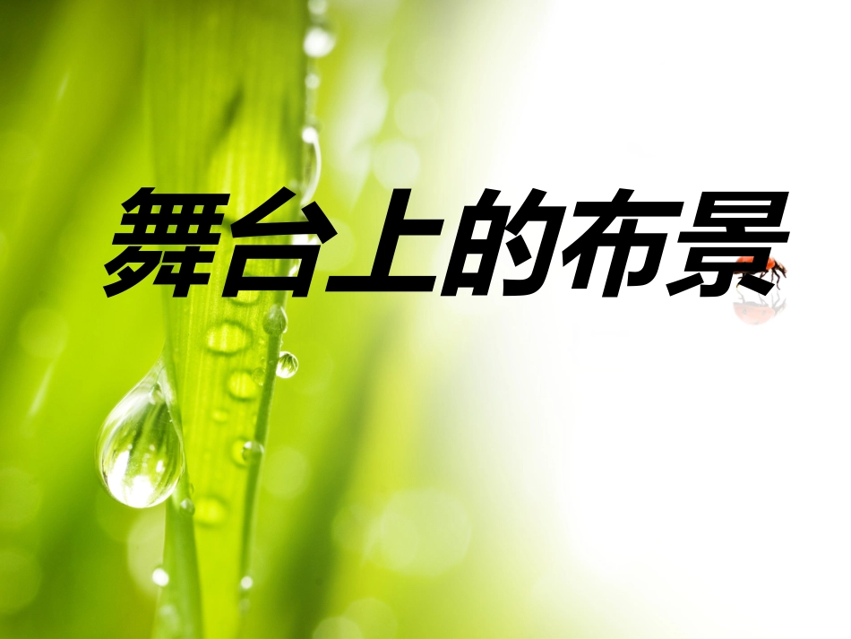 人教版5年级美术下册-《舞台上的布景》课件.ppt_第1页