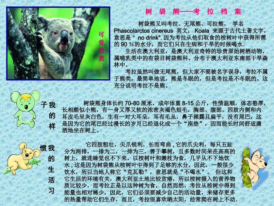 人教版5年级美术下册-《写意动物》课件.ppt_第3页