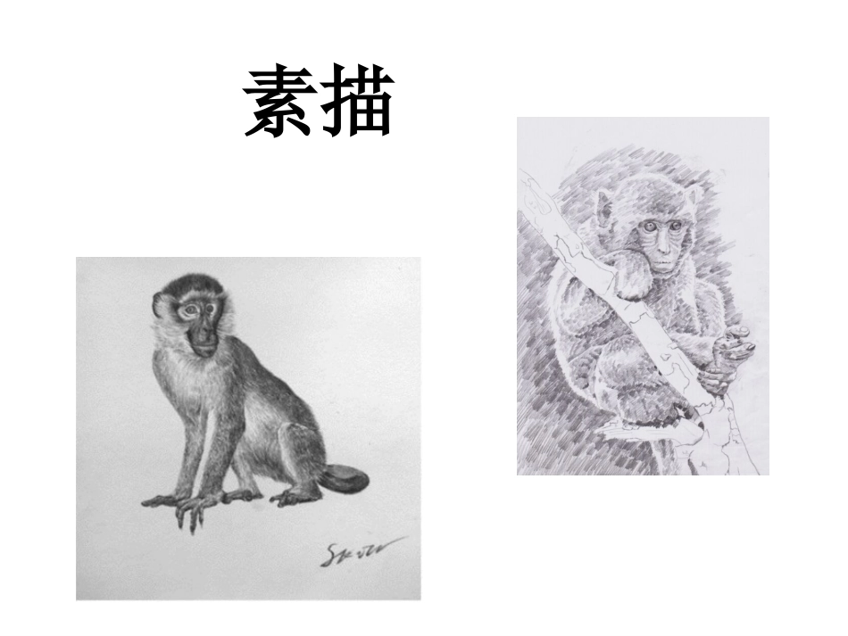 人教版6年级美术下册-《明暗与立体》课件03.ppt_第3页