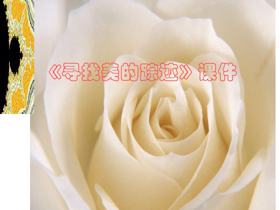 人教版6年级美术下册-《寻找美的踪迹》课件02.ppt_第1页