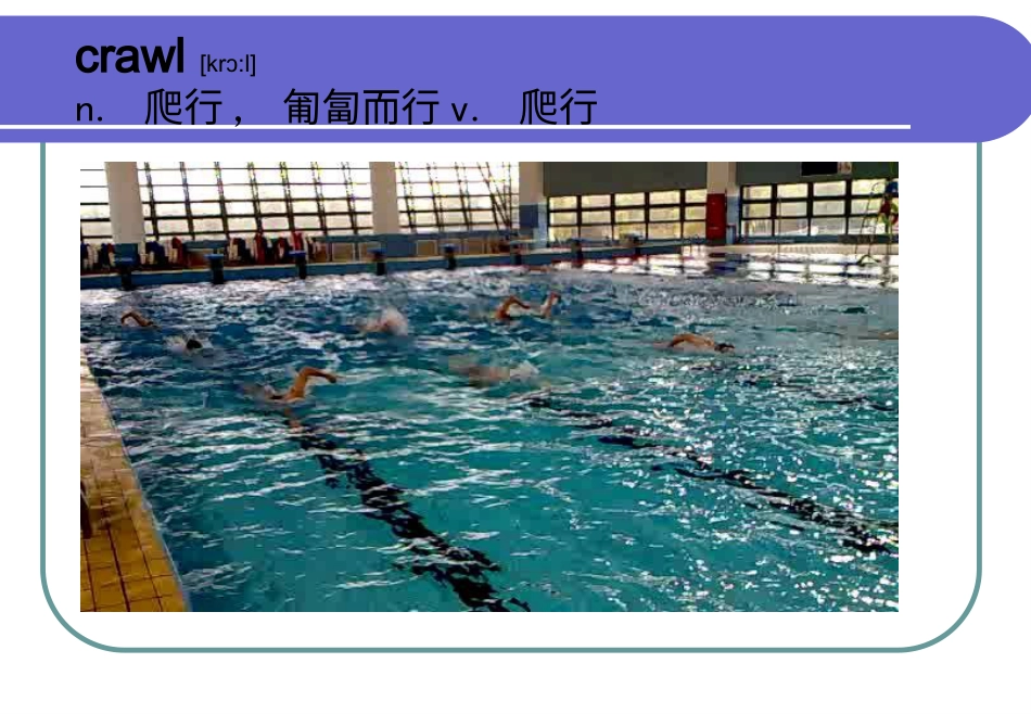 体育与健康（5-6年级）第七章《游泳》ppt课件1.ppt_第3页