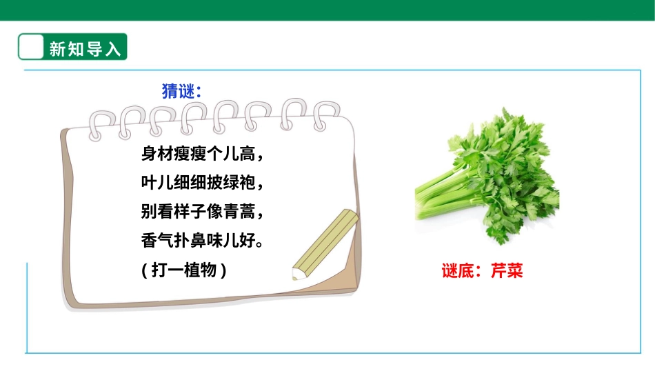 【核心素养目标】人教版《劳动教育》二上 第二章 加我劳动 小帮手劳动项目六《择芹菜》 课件.pptx_第3页