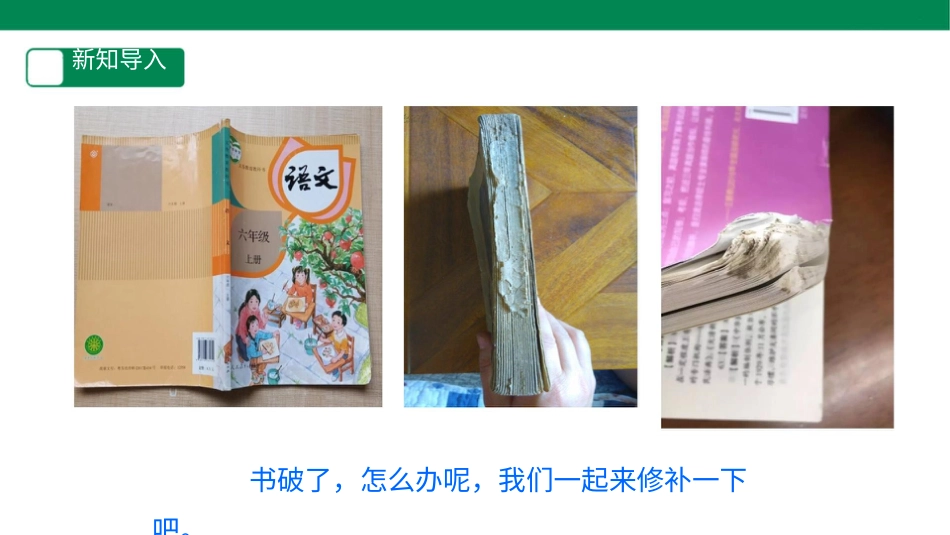 【人教版】《劳动教育》二下劳动项目十  修补图书 课件.pptx_第3页
