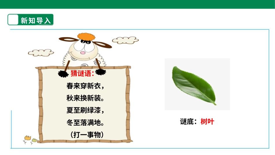 【人教版】《劳动教育》三上 劳动项目八《自制树叶画》课件.pptx_第3页