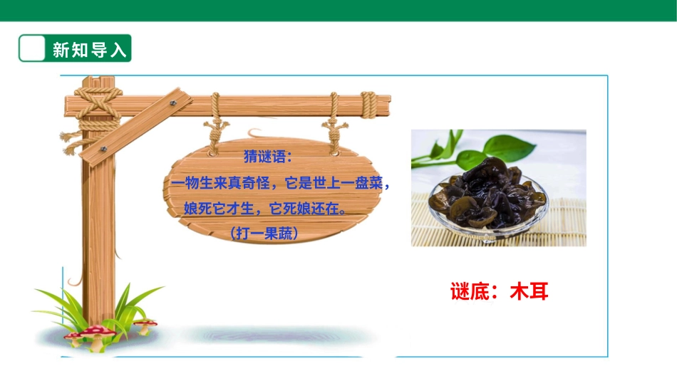 【人教版】《劳动教育》三上 劳动项目三《发木耳》课件.pptx_第3页