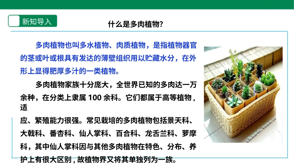 【人教版】《劳动教育》5下 劳动项目六《种多肉植物装饰教室》课件.pptx_第3页