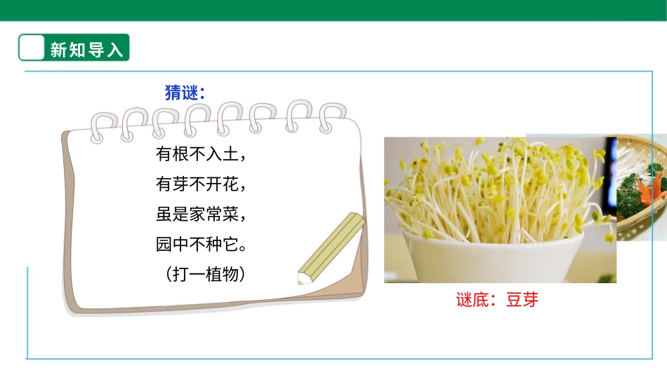 【人教版】《劳动教育》6下 劳动项目三《发绿豆芽》课件.pptx_第3页