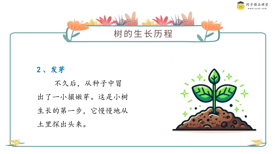第二十五课 爱惜小生命 课件-二年级下册同步精品课堂系列（北师大版）.pptx_第3页