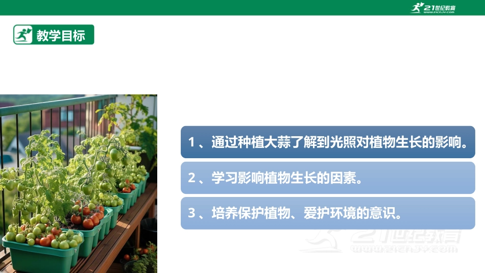 【鲁科版】《综合实践活动》三上 6.1《种植与环境》课件.pptx_第2页
