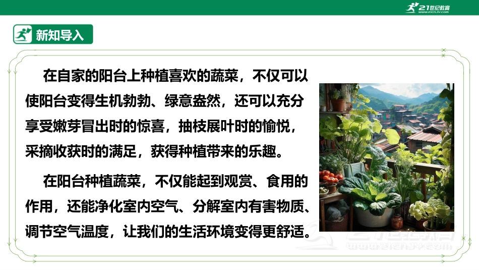 【鲁科版】《综合实践活动》三上 6.1《种植与环境》课件.pptx_第3页