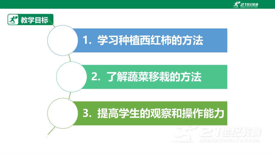 【鲁科版】《综合实践活动》三上 6.3《种植西红柿》课件.pptx_第2页