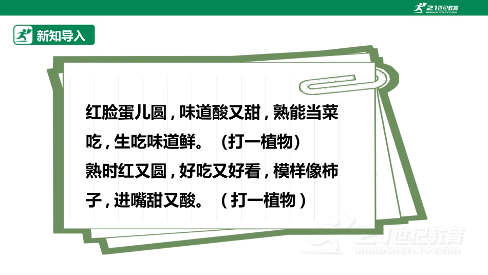 【鲁科版】《综合实践活动》三上 6.3《种植西红柿》课件.pptx_第3页