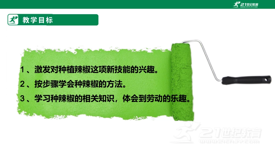【鲁科版】《综合实践活动》三上-第十七课 种植辣椒.pptx_第2页