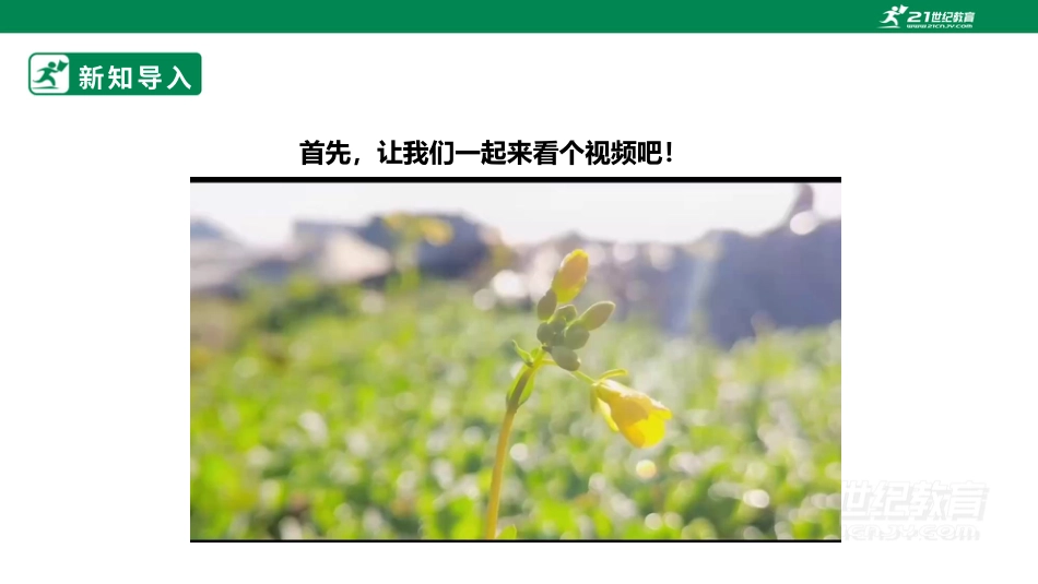 【鲁科版】《综合实践活动》三下-二、《争做校园志愿者》课件.pptx_第3页