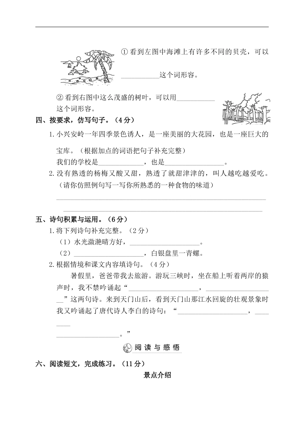 三年级上册语文试题-第三阶段月考卷（含答案）人教部编版.doc_第3页