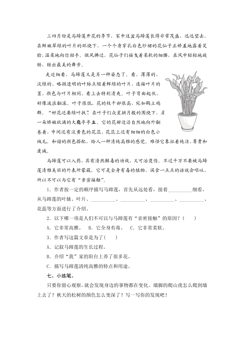 人教部编版三年级上册16《金色的草地》课时测评方案.pdf_第3页