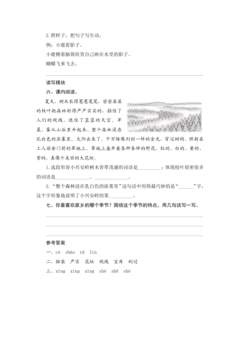 人教部编版三年级上册20《美丽的小兴安岭》课时测评方案.pdf_第2页