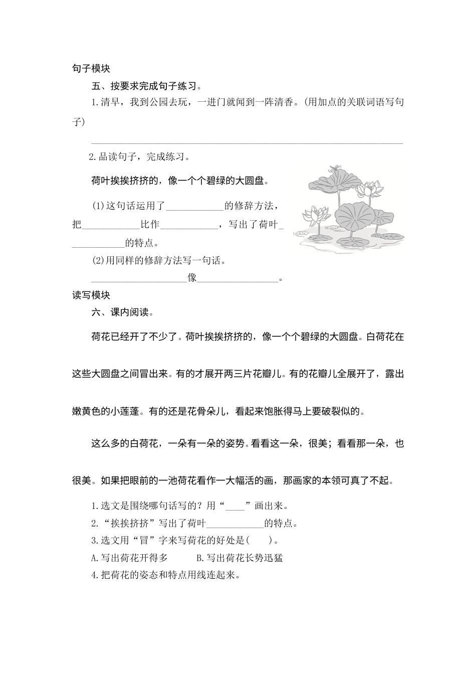 【课时测评】部编版三年级语文下册-3 荷 花.doc_第2页