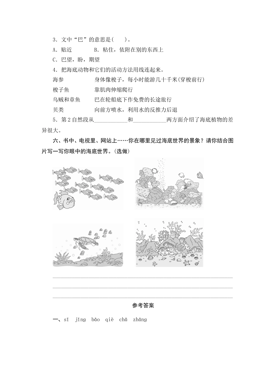 【课时测评】部编版三年级语文下册-23 海底世界.doc_第3页