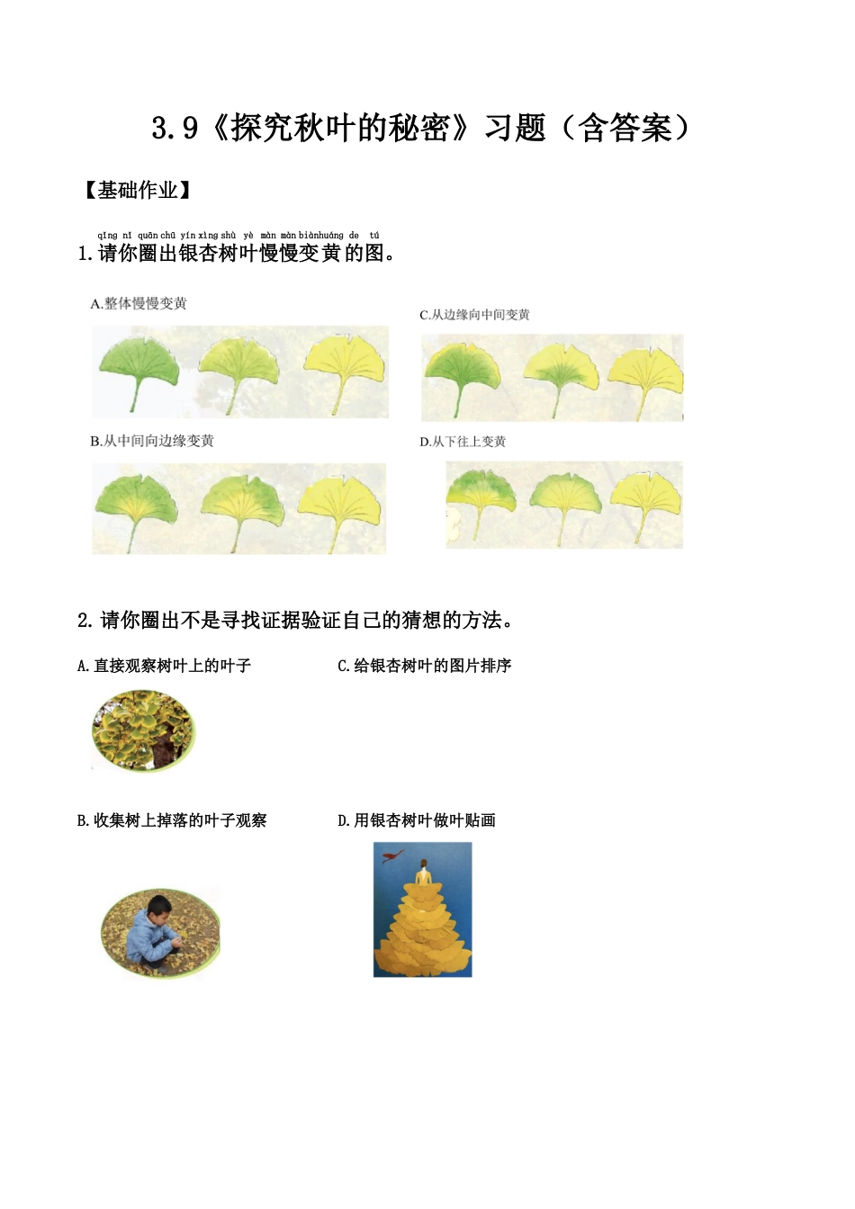 【课时练】3.9 探究秋叶的秘密 -一年级上册（苏教版·2024秋）.docx_第1页