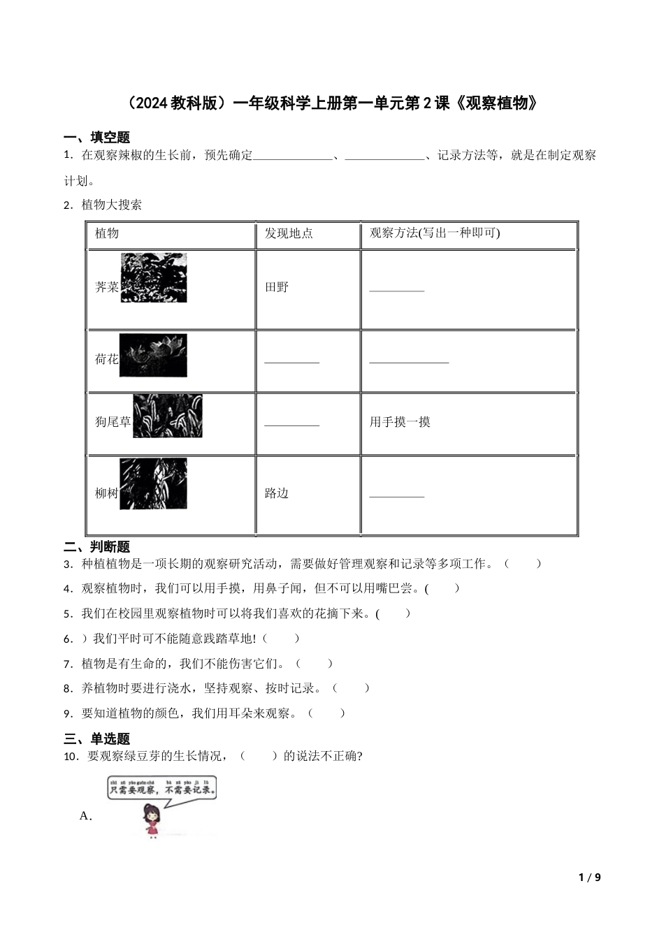 （2024）一上科学第一单元第2课《观察植物》.docx_第1页