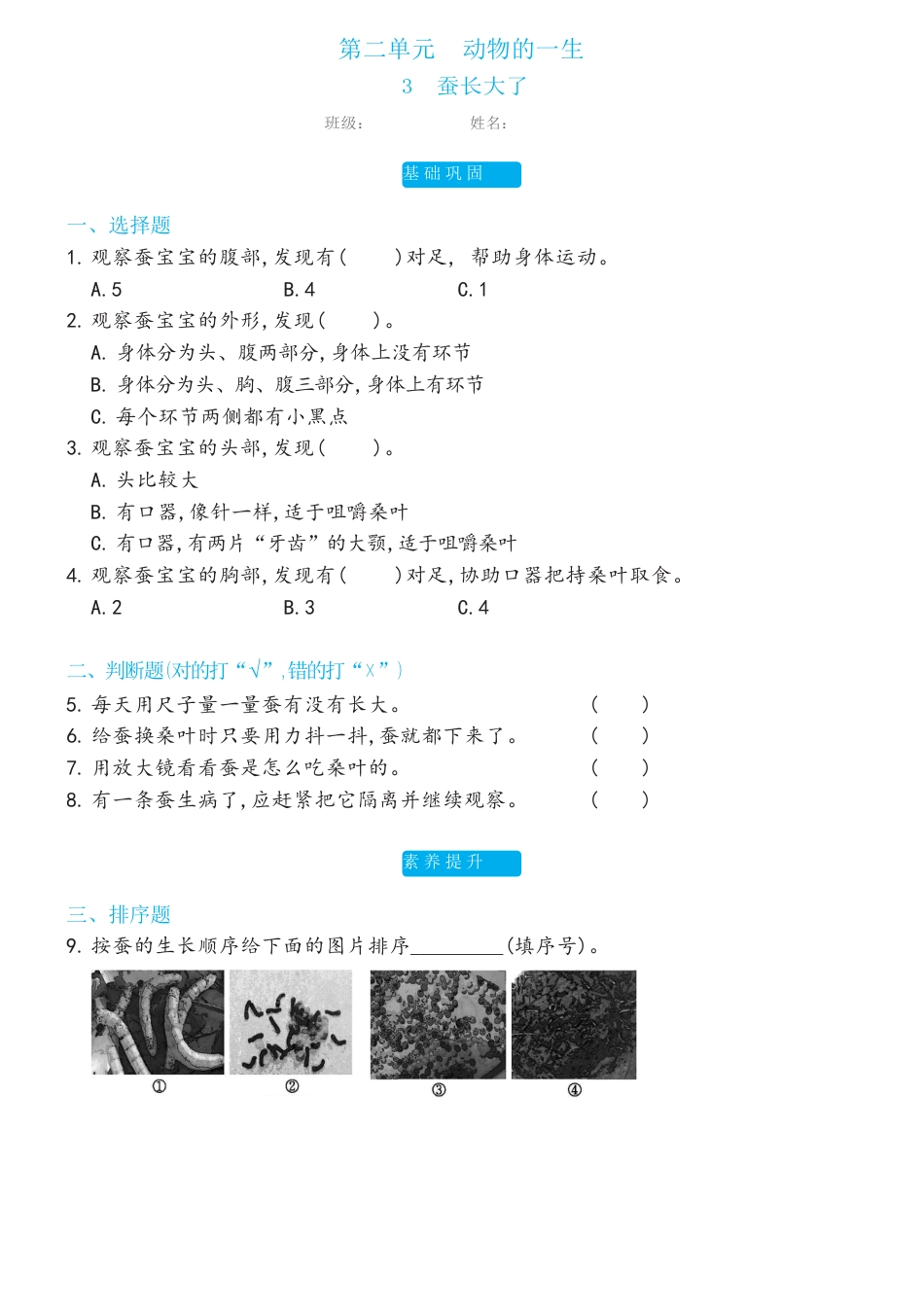 教科版科学 三年级下册 2.3蚕长大了双减分层同步练习（含答案).docx_第1页