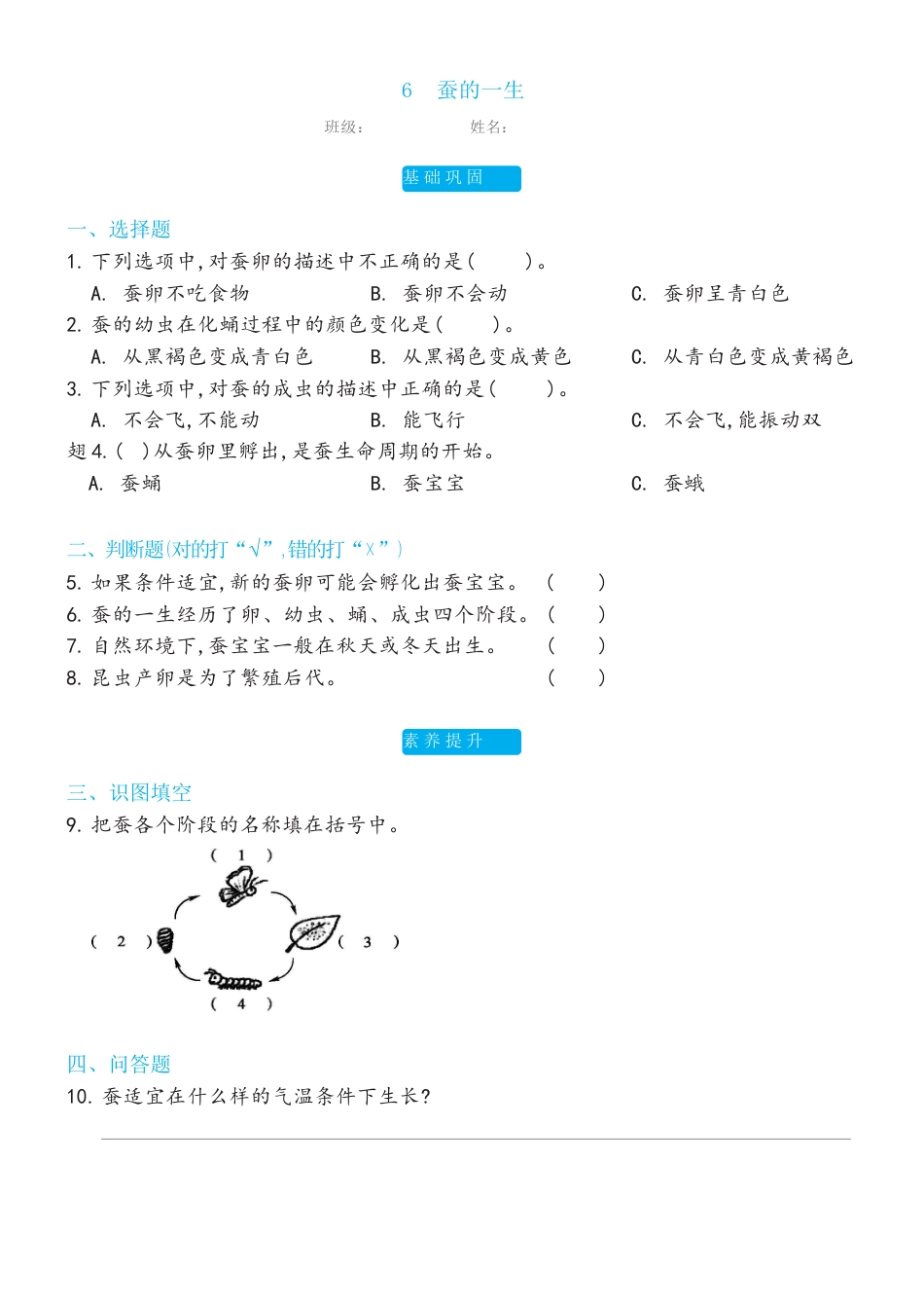 教科版科学 三年级下册 2.6蚕的一生双减分层同步练习（含答案).docx_第1页