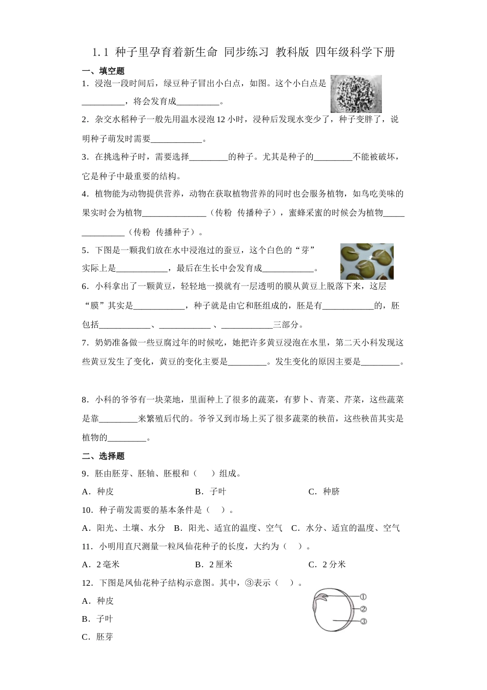 教科版 四年级上册科学-1.1 种子里孕育着新生命 同步练习（ 含答案）.docx_第1页