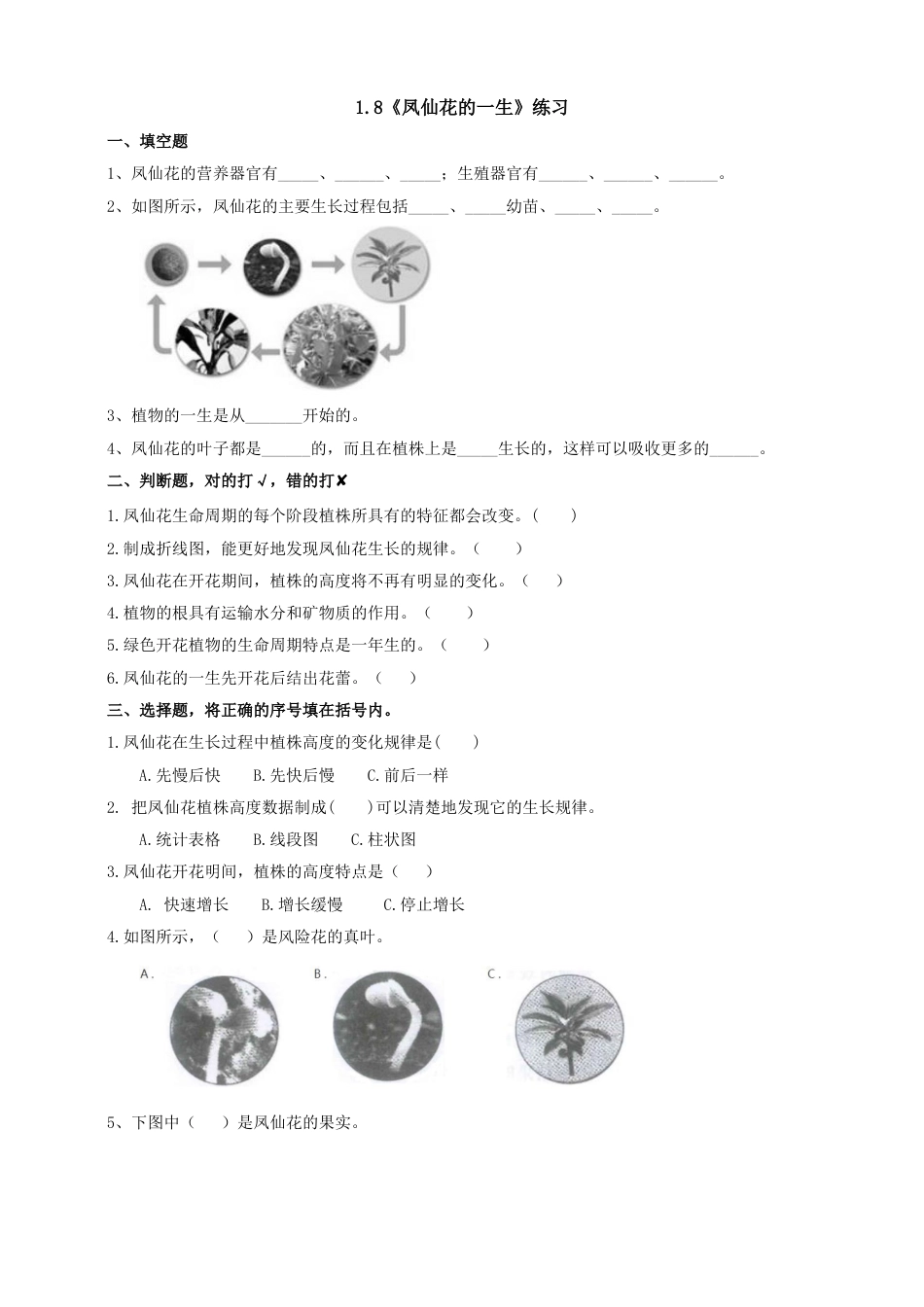 教科版 四年级上册科学-1.8《凤仙花的一生》练习.doc_第1页