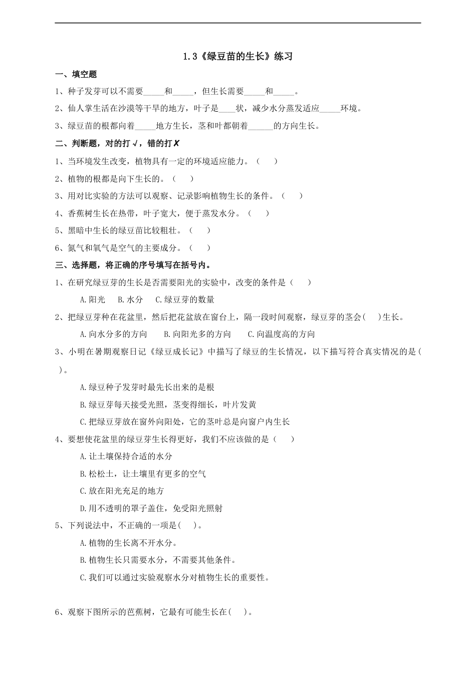 教科版 五年级下册科学-1.3《绿豆苗的生长》练习（含答案）.docx_第1页