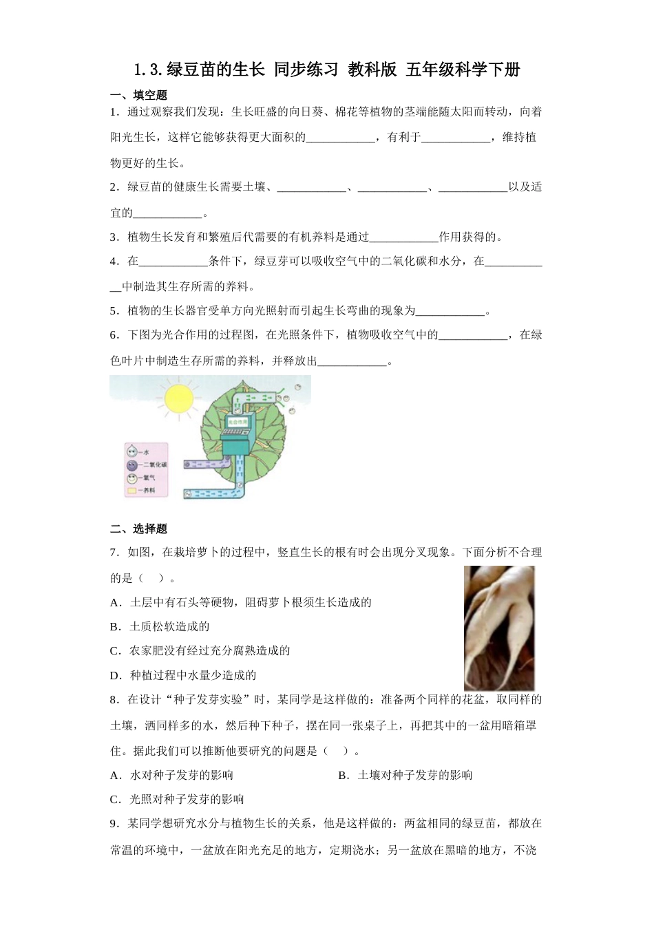 教科版 五年级下册科学-1.3绿豆苗的生长（同步练习）（含答案）.docx_第1页
