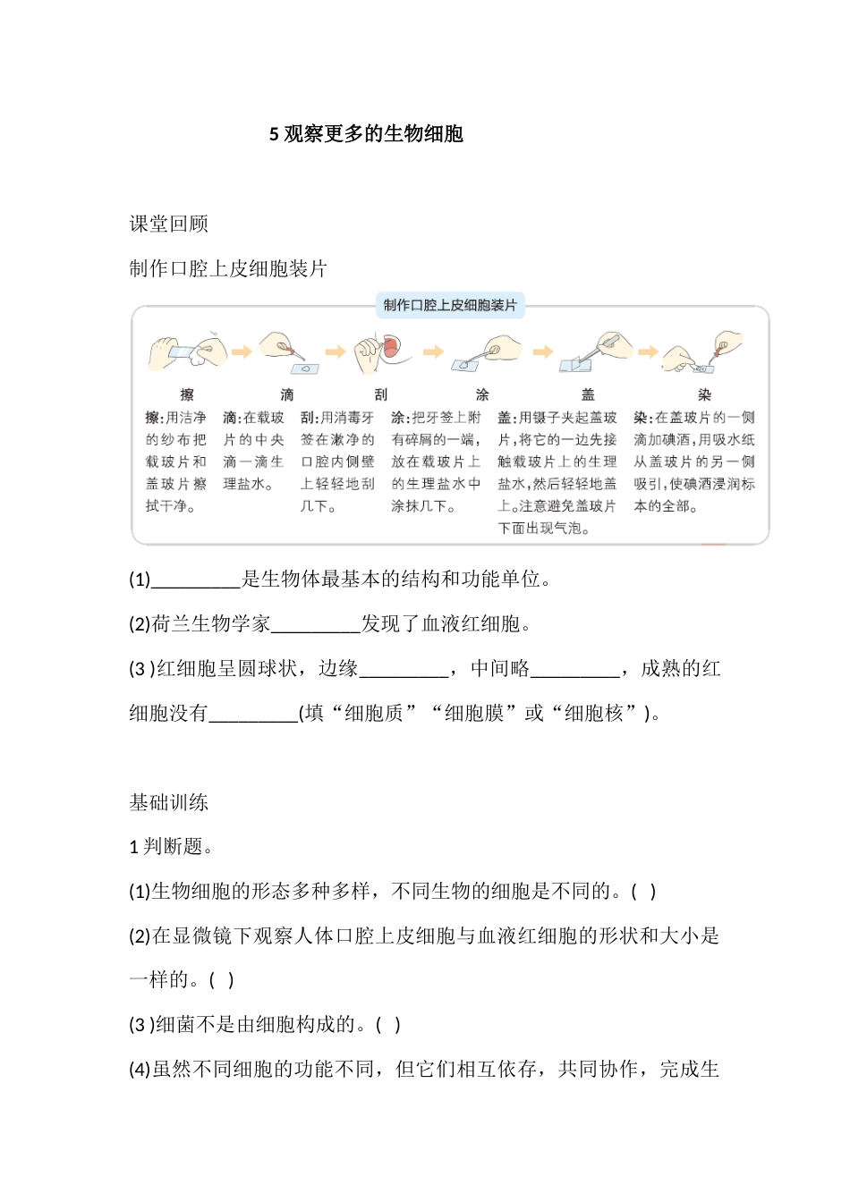 六年级上册科学1.5 观察更多的生物细胞 课时练（含答案）.docx_第1页